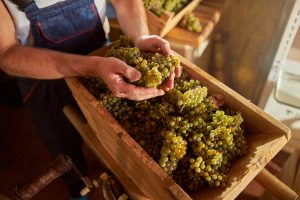Az 1987-ben indult, ma már Food & Wine néven ismert szakmai kiadvány minden év márciusában megválasztja az italkategóriák legkiemelkedőbb képviselőit.