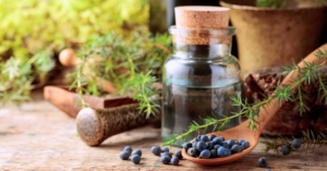 A Gin párlat készítésekor először egy semleges gabonaszesz készül, amit a második lepárlásnál ízesítenek aszalt borókabogyóval vagy annak kivonatával.