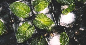 Próbálj ki friss fűszernövényeket, mint a menta vagy bazsalikom, és különleges alapanyagokat, például kókuszvizet, hibiszkuszt vagy matchat, hogy még izgalmasabbá tedd az italod.
